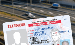 Driver's License Reinstatement
