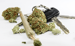Marijuana DUI